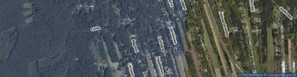 Zdjęcie satelitarne Konwaliowa ul.